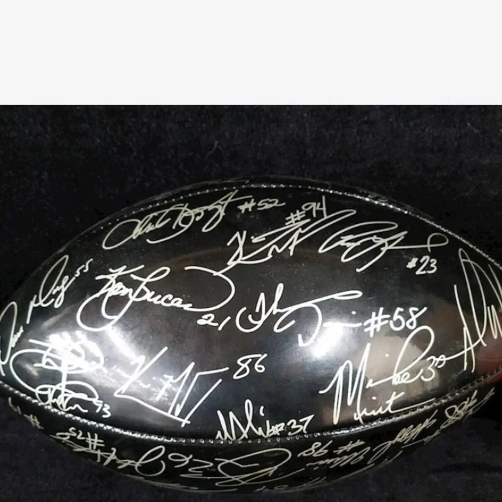 🏈 Baden Collector Series Souvenir Collectable Panthers NFL Football